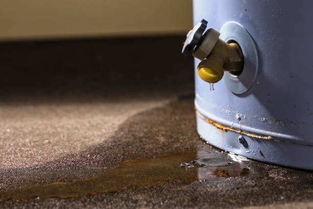 Best Professional water damage repair  in Bagley, MN