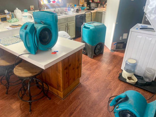 Best Basement water damage restoration  in Bagley, MN
