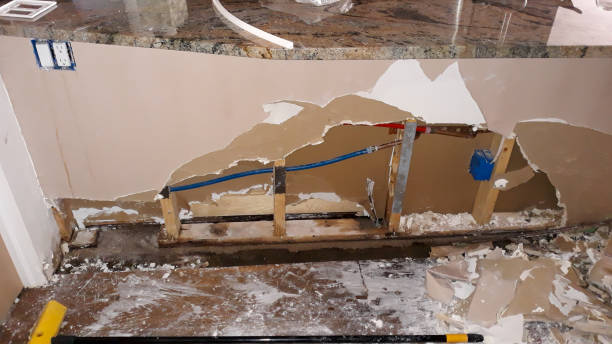 Best Ceiling water damage repair  in Bagley, MN