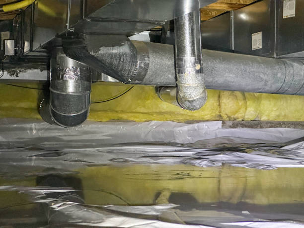 Best Water damage restoration near me  in Bagley, MN